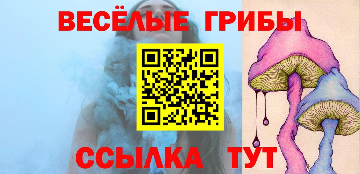 Псилоцибиновые грибы GOLDEN TEACHER  Псилоцибиновые грибы GOLDEN TEACHER  Старая Купавна  Вход с VPN 